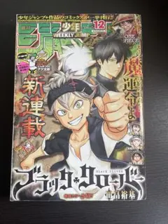 匿名配送・はがき付き】週刊少年ジャンプ2015年 ブラッククローバー 新