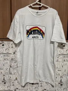 Item thumbnail for item 85f685f3-0668-4682-aff5-e5890a2f4934