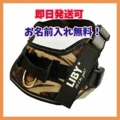 Item thumbnail for item b2d0d54a-cf56-44ac-960f-0a9e27fc8696