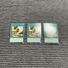 ペンデュラム・トレジャー　3枚