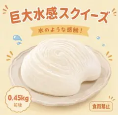 Niceee toy 巨大水感スクイーズ 0.45kg前後