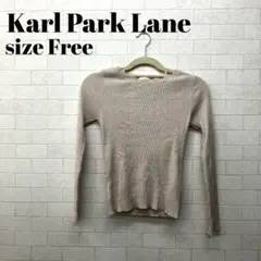 Karl Park Lane ラメ ニット カットソー Freeのサムネイル