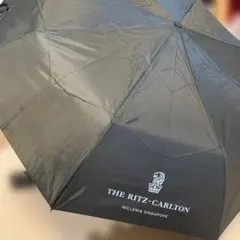 Item thumbnail for item 2dc64660-09fe-4f89-a6ad-e14cdea3c1d6