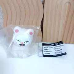 スキズ ライトマスコット 新品未開封品 SKZOO ジニレット