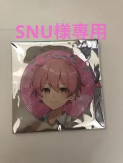 SNU様専用 ないこさん缶バッジ