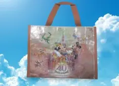 ④【袋のみ】ディズニー　40周年　ショップバック　チョククランチ