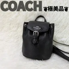 新品未使用】COACH/コーチ リア バックパック 21 CH789 黒 - メルカリ