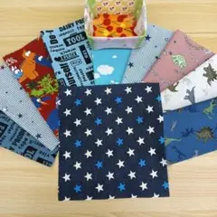 ★A562★ カットクロス/プリント生地/国産/25cm×25cm/10点