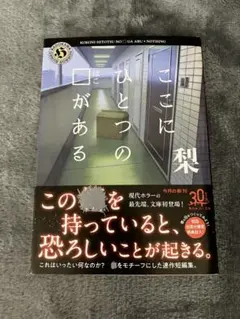 ここにひとつの□がある／梨