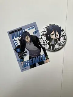 WIND BREAKER 杉下京太郎