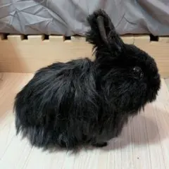 真っ黒うさぎリアルぬいぐるみ長毛ジャージーウーリーライオンラビットファジーネザー