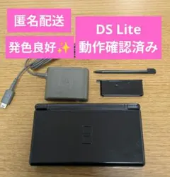 【動作良好】【良品✨️】ニンテンドーDS Lite [ブラック] ⑫