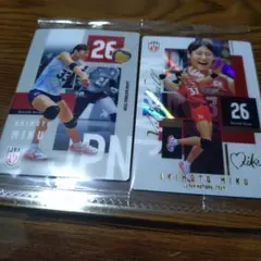 バレーボール女子日本代表　秋本美空選手　トレーディングmini色紙 秋本美空選手 バレーボール女子日本代表 トレーディングmini色紙