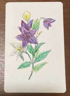 『桔梗の花』