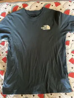 THE NORTH FACE 半袖Tシャツ ブルー系メンズLサイズ　アメリカ古着