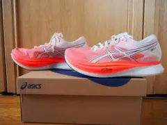 Item thumbnail for item 2f983869-ee39-40cd-a966-3bffb66f2364