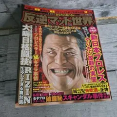 Item thumbnail for item 9fbab29c-cf26-4896-8a67-5fc6462bcb44