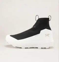 アークテリクスノーバンARC’TERYX NORVAN 4 NIVALISのサムネイル