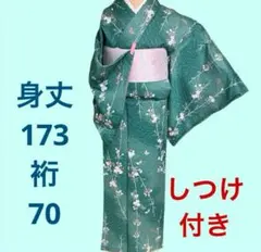 2025年最新】小紋 トールサイズの人気アイテム - メルカリ