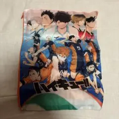 ハイキュー!! キービジュアルポーチでらっくす