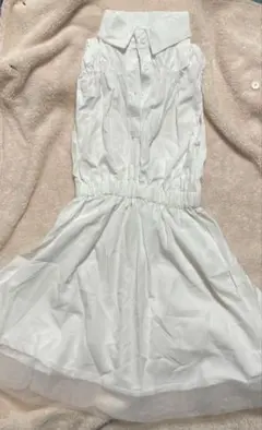 Item thumbnail for item 45a2c483-46d9-4995-baa4-ea524e92113c