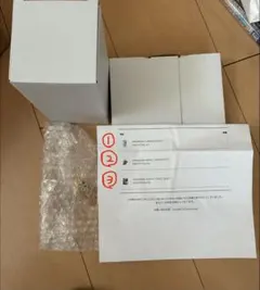 【まとめ買い可能】CRAZY RACCOON ありさか