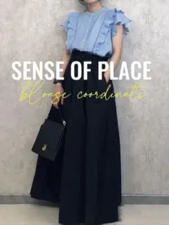 週末値下｜SENSE OF PLACE／ドビーストライプフリルフレンチブブラウスのサムネイル
