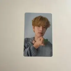 Stray Kids スンミン トレカ social path特典