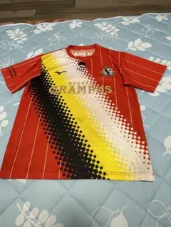 Item thumbnail for item a2c9ad67-13e0-4004-83fa-db55efac1468