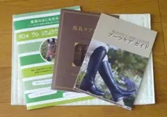 Item thumbnail for item eb5aba40-d25b-4563-9298-3da96228a217