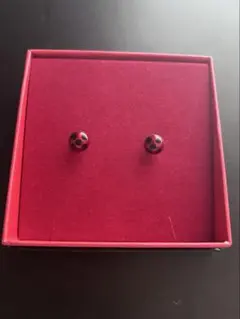 2025年最新】ミラキュラス イヤリングの人気アイテム - メルカリ