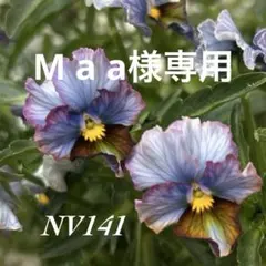M a a様専用•*¨*•.¸♬︎のサムネイル