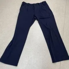 新品タグ付・日本製】carino SGB15 高伸縮 ストレッチパンツ LL - メルカリ