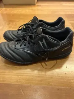 2026年最新】モレリア tfの人気アイテム - メルカリ