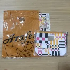 嵐 アラフェス 2020 Tシャツ ポーチ キーホルダー 3点セット