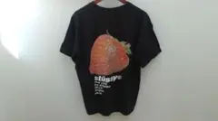 STUSSY ステューシー ストロベリー 半袖 Tシャツ バックプリント　レア