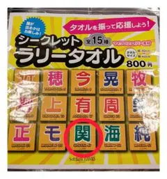 【新品未使用・匿名配送】ソフトバンクホークスラリータオル 大関 47
