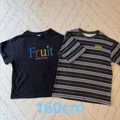 フルーツオブザルーム ZARA kidsストライプ　Tシャツ　　160cmのサムネイル