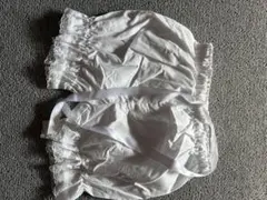 Item thumbnail for item 4a2d3509-c58d-4106-a1bc-e24c6c65df53