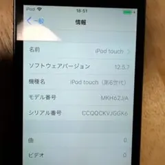 Apple iPod touch (第6世代) スペースグレー