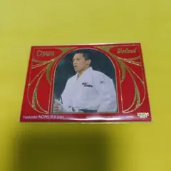 Item thumbnail for item 1246154c-32f3-4234-be5c-f188be8407bd