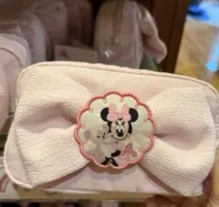 香港ディズニー限定　ミニー&シェリーメイ ポーチのサムネイル