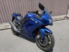 KAWASAKI NINJA250R エヴァカラー 鹿児島 バイク - メルカリ