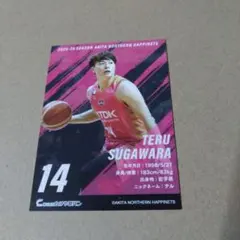 秋田ノーザンハピネッツ菅原輝カード