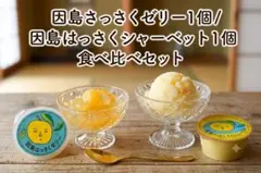 因島 はっさくゼリー はっさくシャーベット 各1個 広島みやげ お試し 匿名配送のサムネイル
