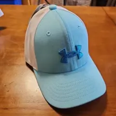 Item thumbnail for item 686d7fb6-24d2-4f43-b665-5904409481a1