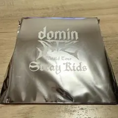 Stray Kids ワルツ　dominATE ランダムミニボアキャップ　ポガリ