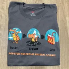 レアTシャツ　Hanes 恐竜　Mサイズのサムネイル