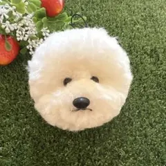 Item thumbnail for item 161dc108-a888-4494-9094-6129629f2146