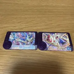 ポケモンフレンダ　ザシアン ザマゼンタ スーパートレジャーピック　2枚セット